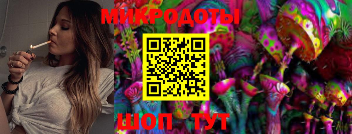 Галлюциногенные грибы Psilocybe Видное